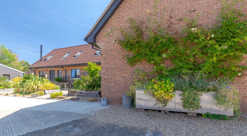 Photo of Hares & Haystacks
