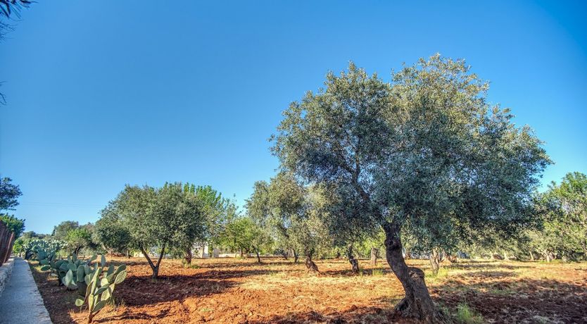 Photo of Very Trulli Yours