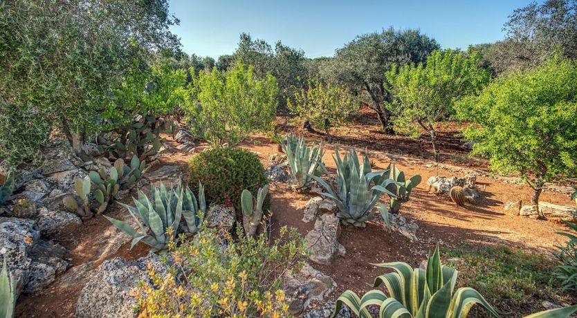 Photo of Very Trulli Yours