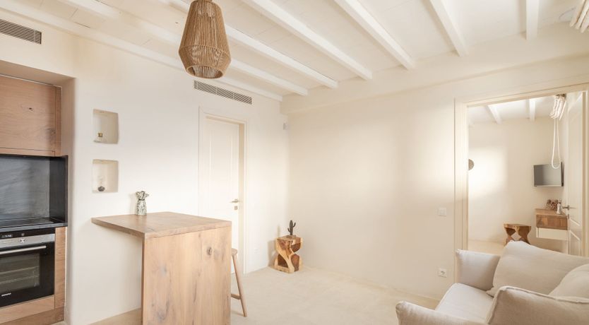 Photo of Just Fly, Don't Worry