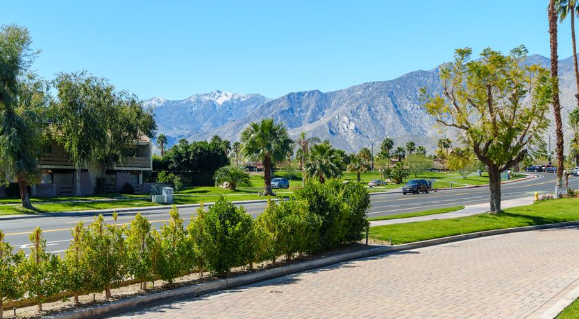 Photo of Springs Eternal