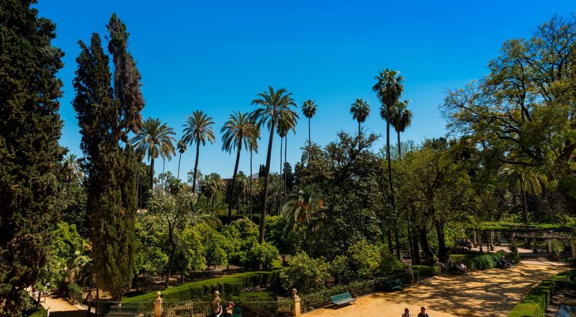 Photo of The Walls of Alcázar
