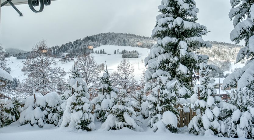 Photo of Mountain Moonbeams