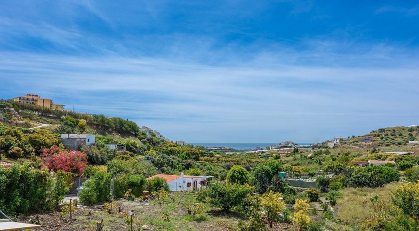 Photo of Easy Peasy, Lemon Squeezy