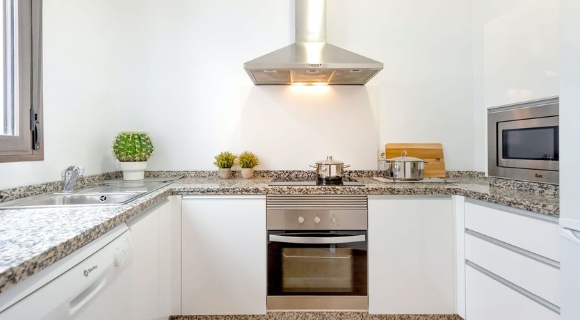 Photo of Colour Surprise