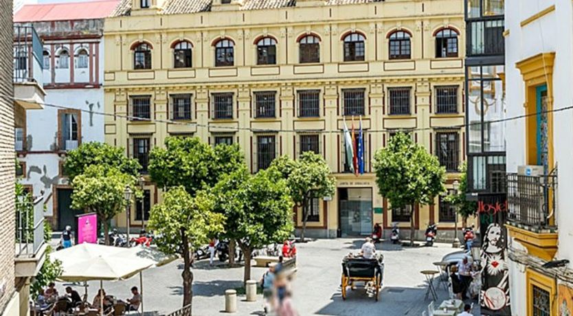 Photo of Colour Surprise