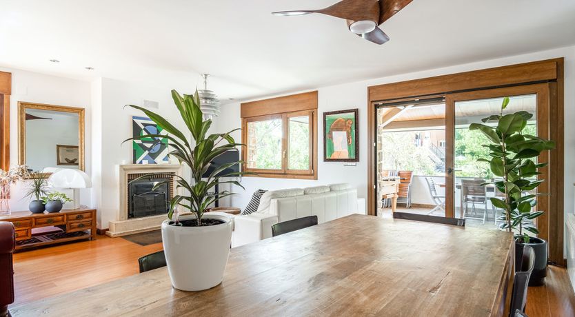 Photo of Team Players