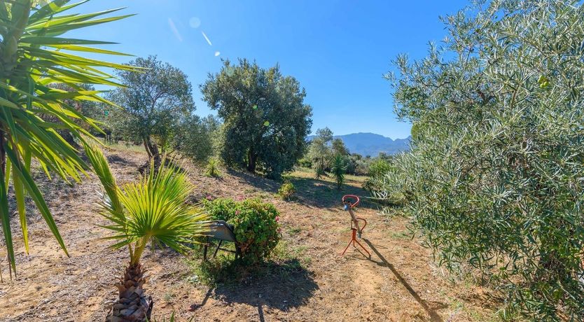 Photo of Old Iron Keys