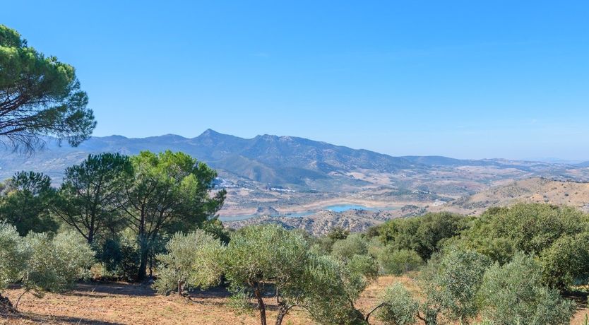 Photo of Old Iron Keys