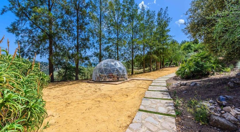 Photo of Silence of the Night