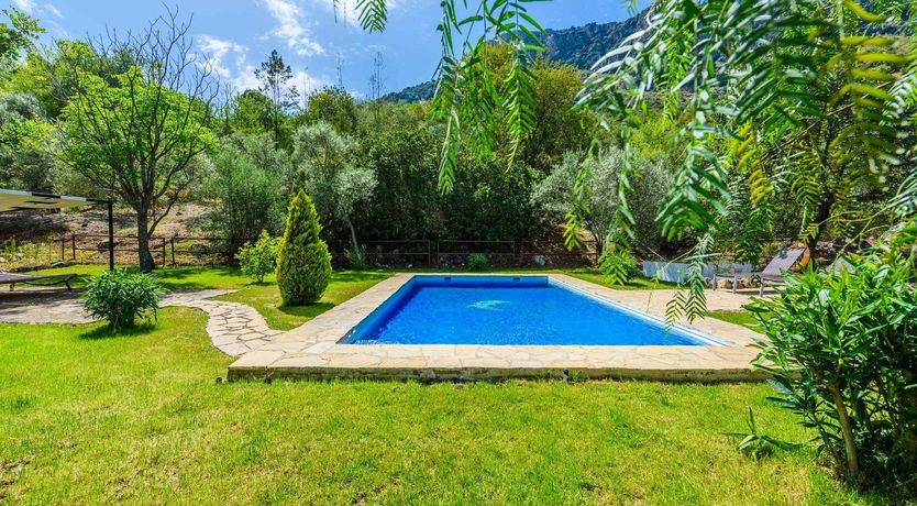 Photo of Silence of the Night