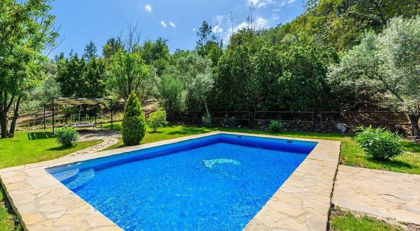 Photo of Silence of the Night