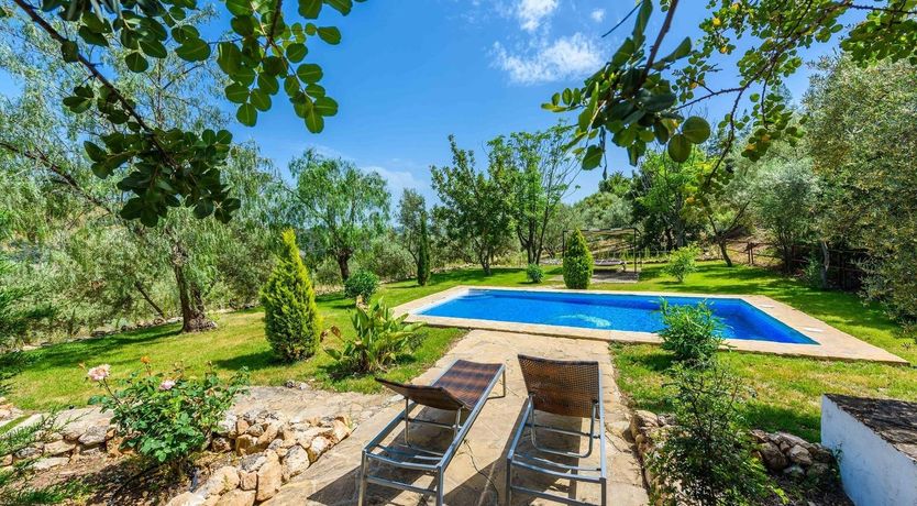 Photo of Silence of the Night