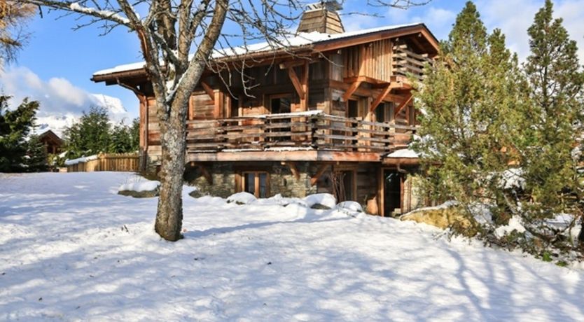 Photo of Water Flakes