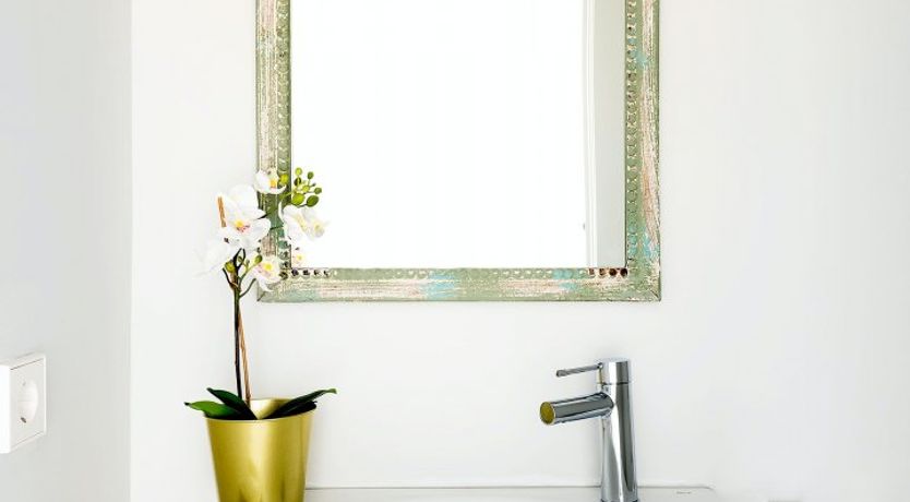 Photo of Oyster Mushroom