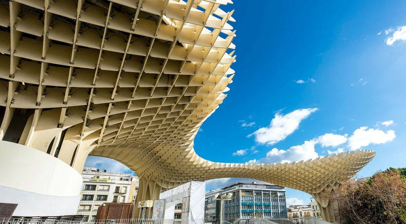 Photo of Oyster Mushroom