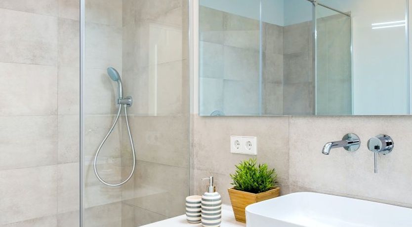 Photo of Oyster Mushroom