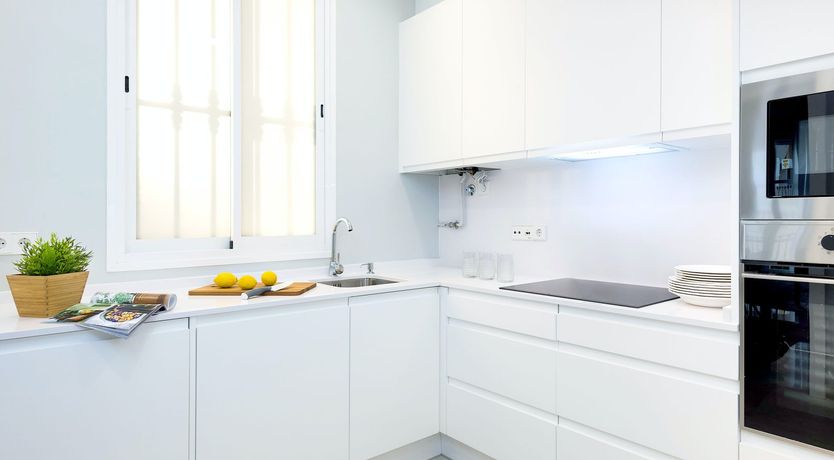 Photo of Oyster Mushroom