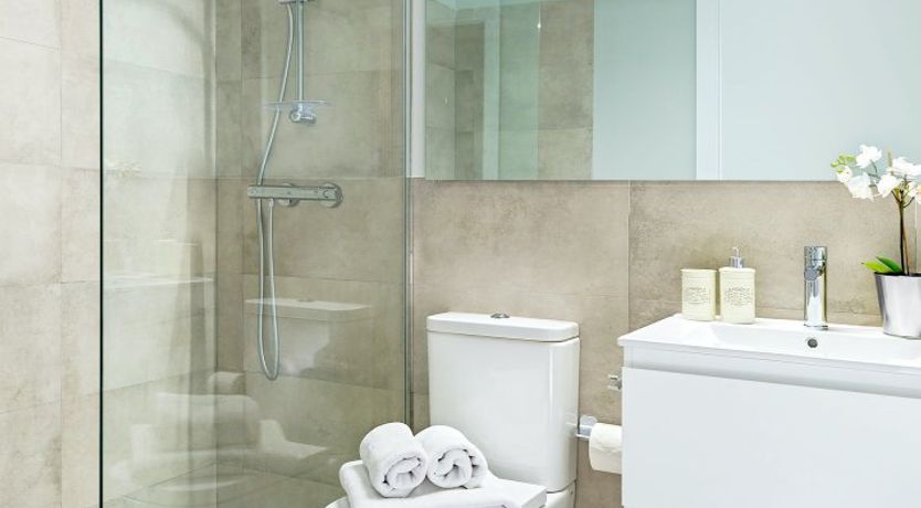 Photo of Oyster Mushroom