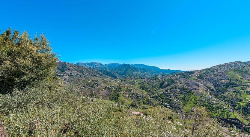 Photo of Hillside Finca