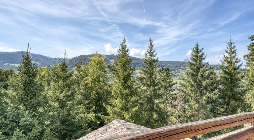 Photo of Rascal Among the Pines