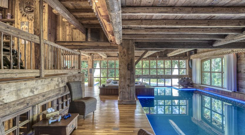 Photo of Rascal Among the Pines