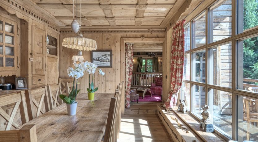 Photo of Rascal Among the Pines