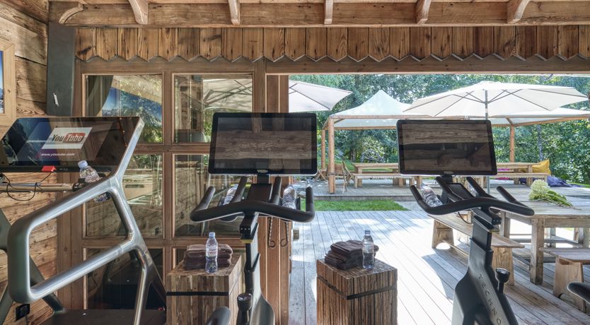 Photo of Rascal Among the Pines