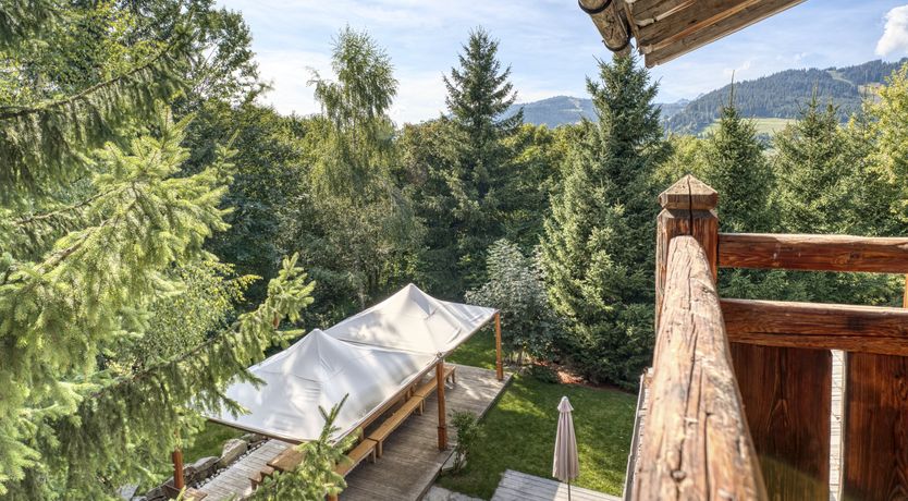 Photo of Rascal Among the Pines