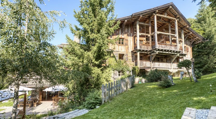 Photo of Rascal Among the Pines