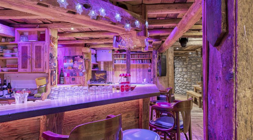 Photo of Rascal Among the Pines