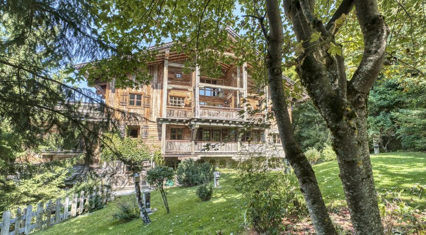 Photo of Rascal Among the Pines