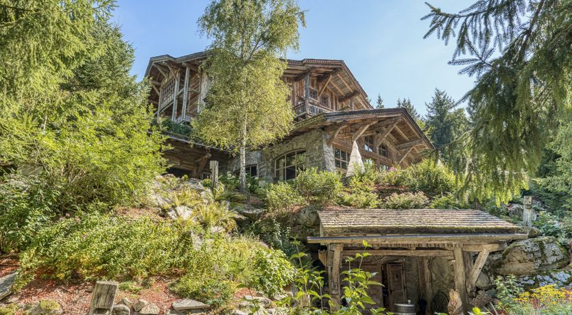 Photo of Rascal Among the Pines