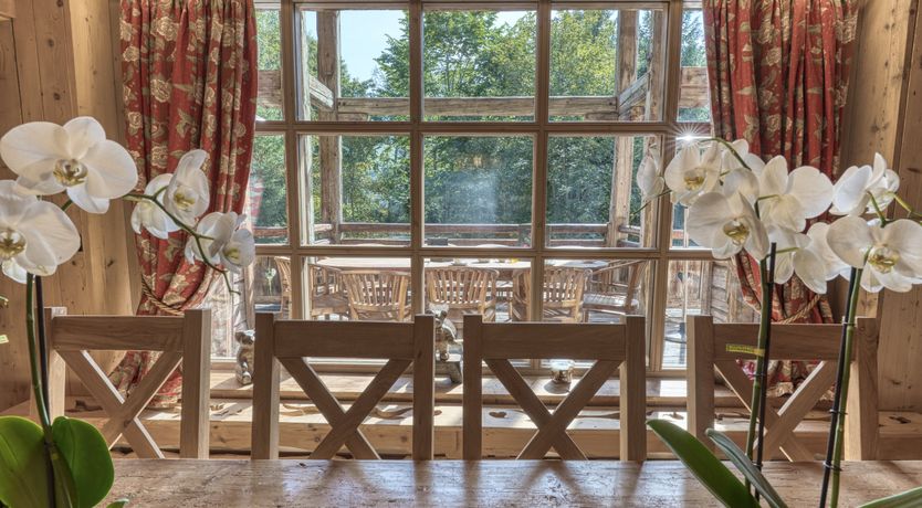 Photo of Rascal Among the Pines