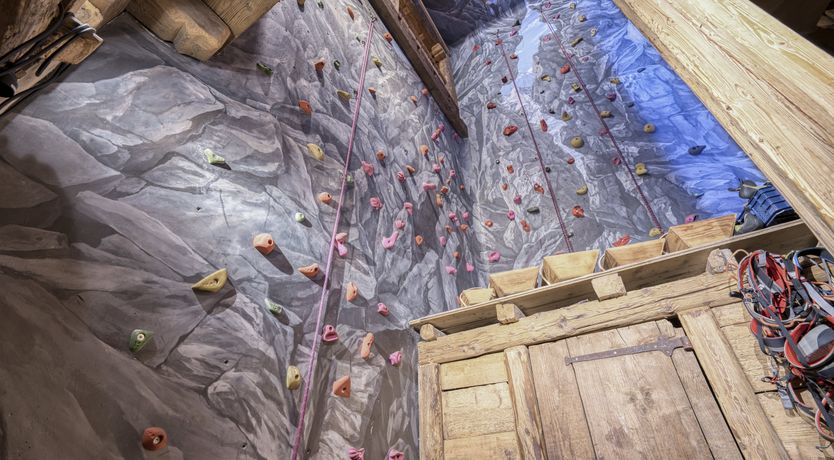 Photo of Rascal Among the Pines