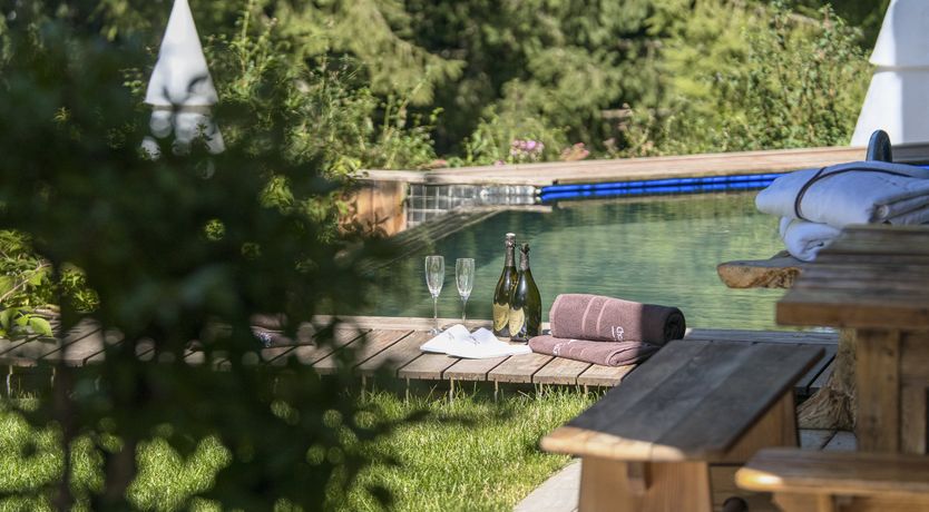 Photo of Rascal Among the Pines