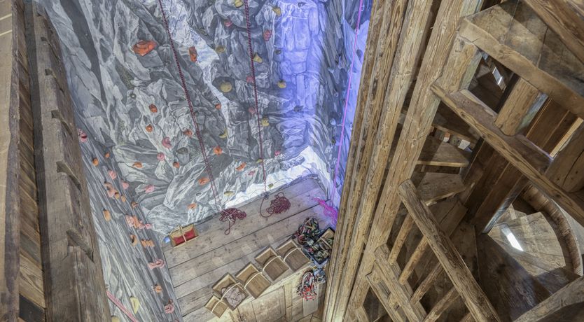 Photo of Rascal Among the Pines