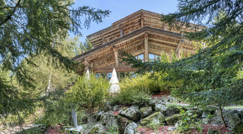 Photo of Rascal Among the Pines