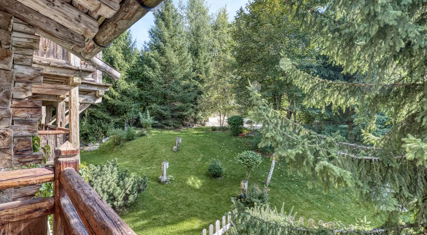 Photo of Rascal Among the Pines