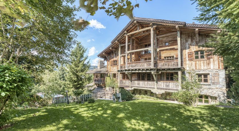 Photo of Rascal Among the Pines