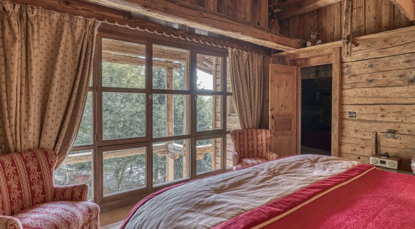 Photo of Rascal Among the Pines