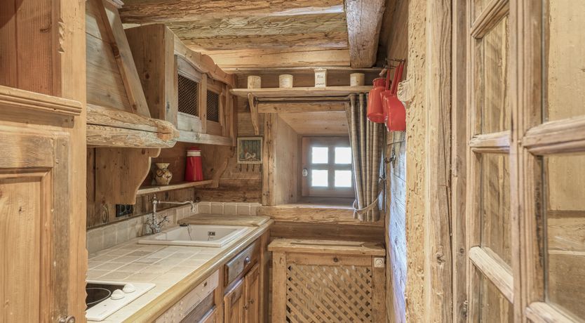 Photo of Rascal Among the Pines