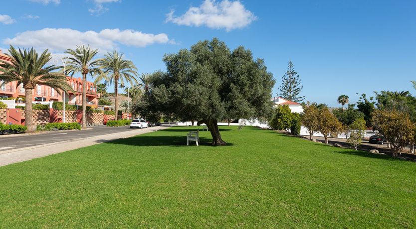 Photo of Say a Little Playa