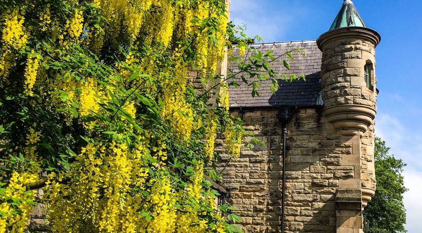 Photo of Once Upon a Fairytale