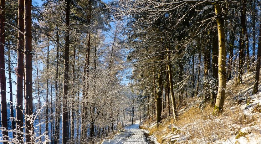 Photo of Once Upon a Fairytale