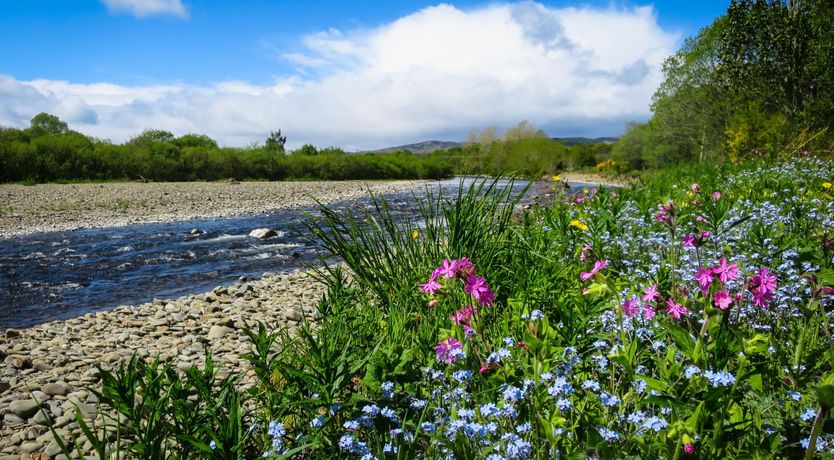 Photo of Once Upon a Fairytale