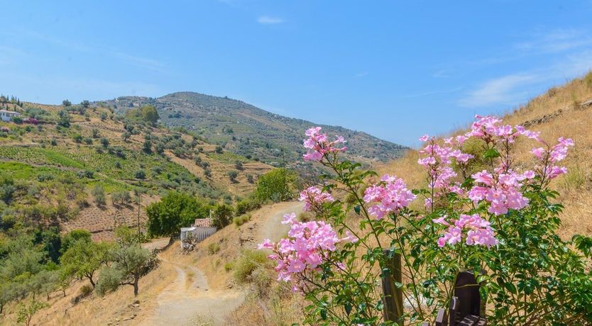 Photo of Off The Beaten Path