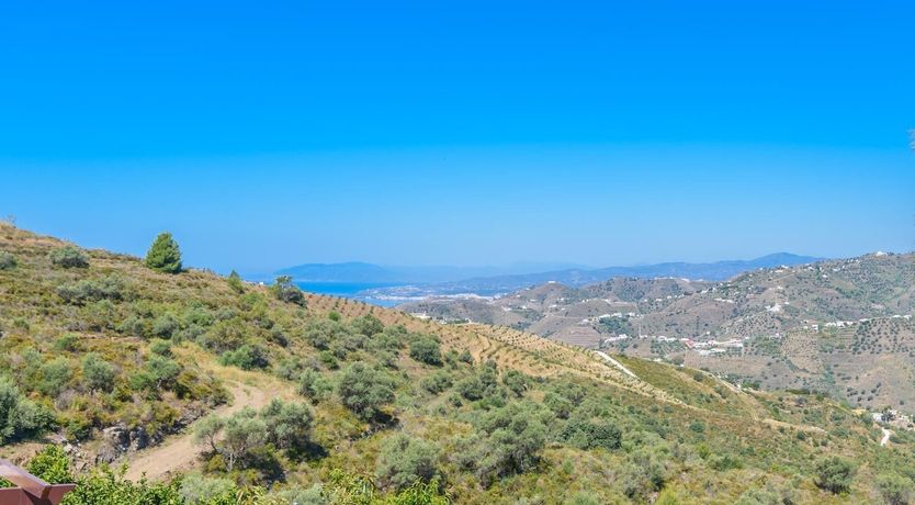 Photo of Apricots & Honey