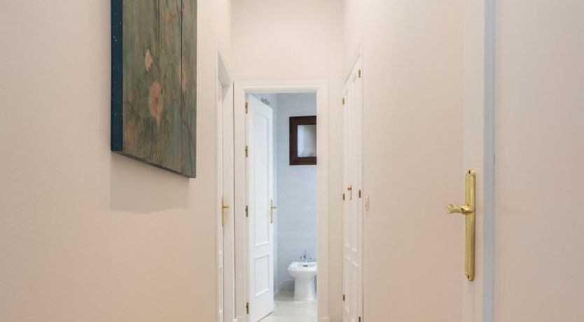 Photo of Sultry Seville