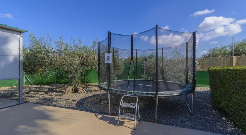 Photo of Night Jasmine